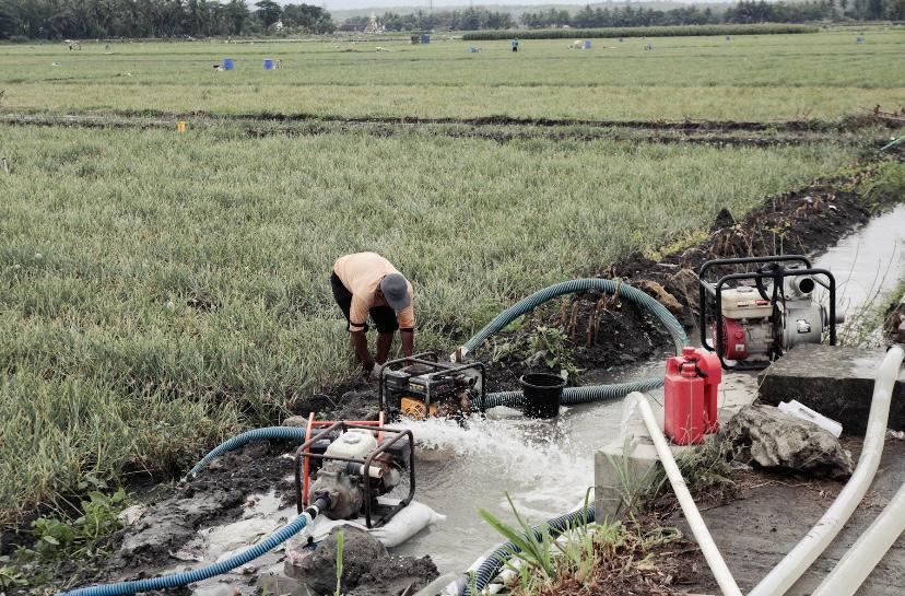 Manfaat Pompanisasi Dirasakan Langsung Petani Kabupaten Lamongan